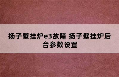 扬子壁挂炉e3故障 扬子壁挂炉后台参数设置